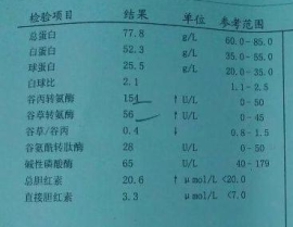 谷草转氨酶高的原因,揭秘谷草转氨酶升高的多因素原因