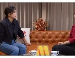吃瓜大会娱乐圈检察组,吃瓜大会检察组深度剖析热点事件