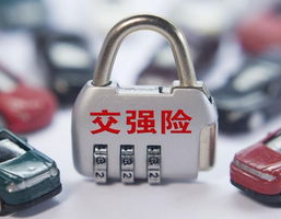 交强险多少钱一年,了解不同车型保费差异”